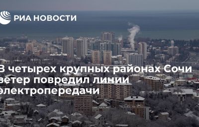 В четырех крупных районах Сочи ветер повредил линии электропередачи