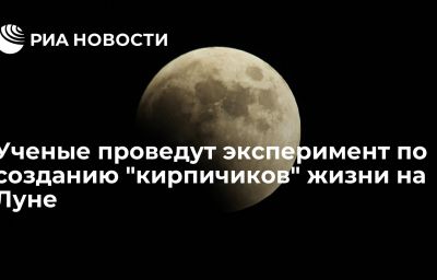 Ученые проведут эксперимент по созданию "кирпичиков" жизни на Луне