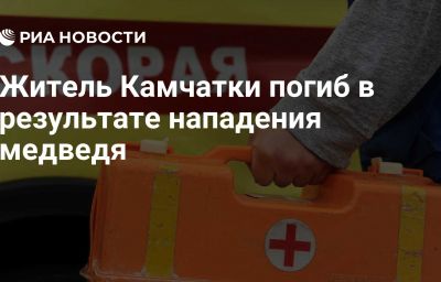 Житель Камчатки погиб в результате нападения медведя