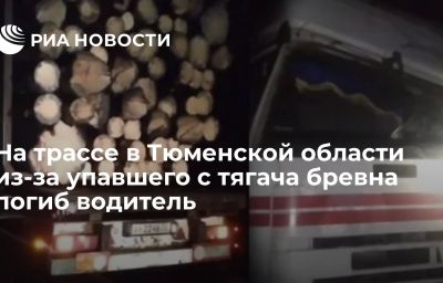 На трассе в Тюменской области из-за упавшего с тягача бревна погиб водитель