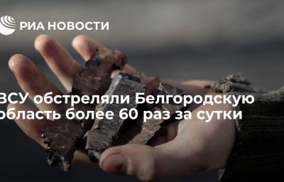 ВСУ обстреляли Белгородскую область более 60 раз за сутки