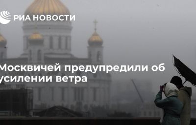 Москвичей предупредили об усилении ветра