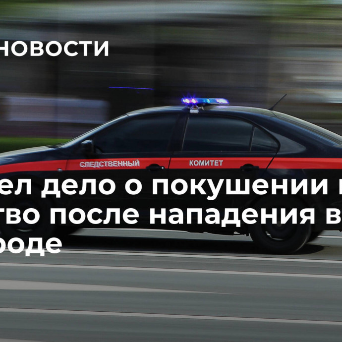 СК завел дело о покушении на убийство после нападения в Белгороде