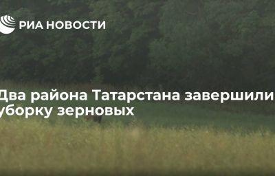 Два района Татарстана завершили уборку зерновых