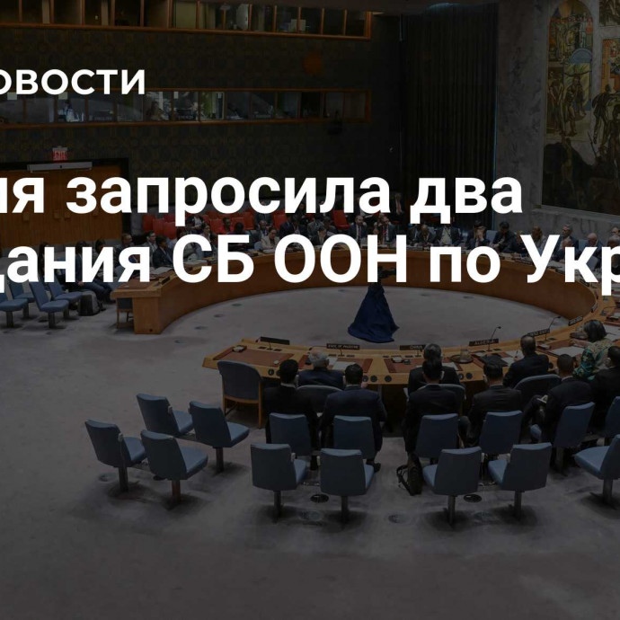 Россия запросила два заседания СБ ООН по Украине