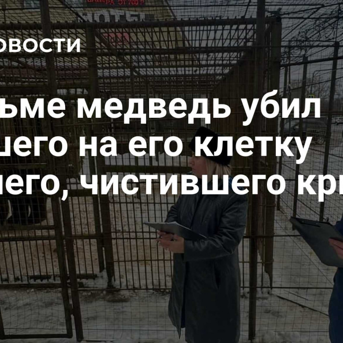 В Вязьме медведь убил упавшего на его клетку рабочего, чистившего крышу