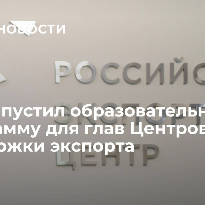 РЭЦ запустил образовательную программу для глав Центров поддержки экспорта