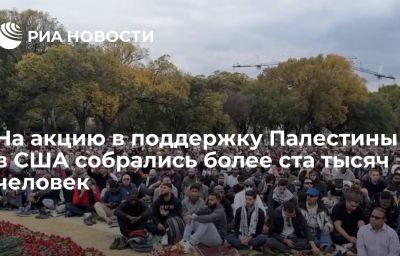 На акцию в поддержку Палестины в США собрались более ста тысяч человек