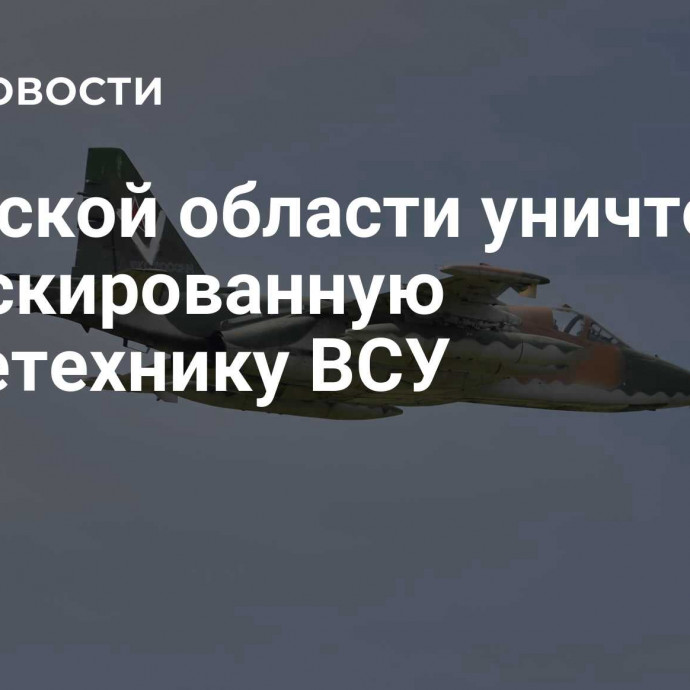 В Курской области уничтожили замаскированную бронетехнику ВСУ