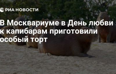 В Москвариуме в День любви к капибарам приготовили особый торт