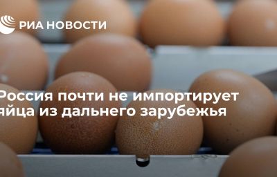 Россия почти не импортирует яйца из дальнего зарубежья