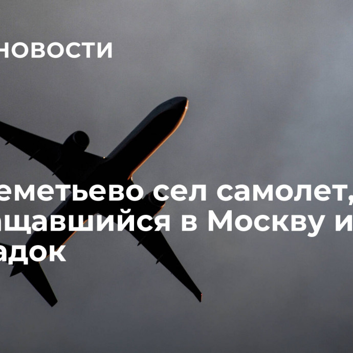 В Шереметьево сел самолет, возвращавшийся в Москву из-за неполадок