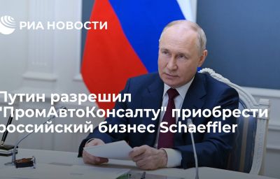 Путин разрешил "ПромАвтоКонсалту" приобрести российский бизнес Schaeffler