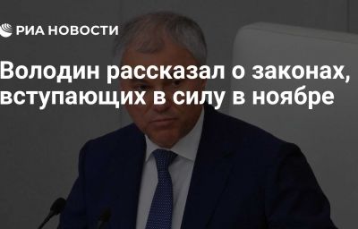 Володин рассказал о законах, вступающих в силу в ноябре