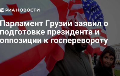 Парламент Грузии заявил о подготовке президента и оппозиции к госперевороту