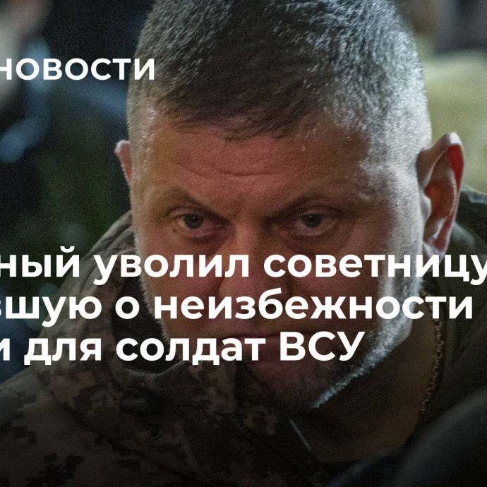 Залужный уволил советницу, заявившую о неизбежности смерти для солдат ВСУ