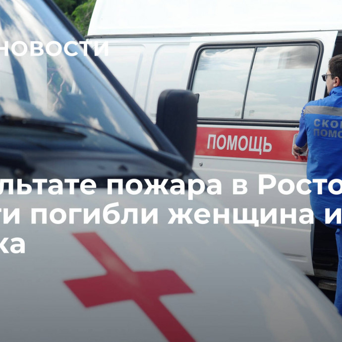 В результате пожара в Ростовской области погибли женщина и два ребенка