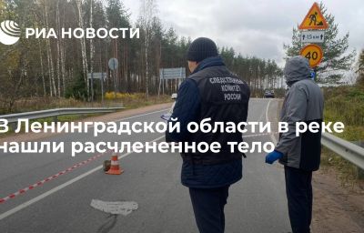 В Ленинградской области в реке нашли расчлененное тело