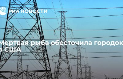 Мертвая рыба обесточила городок в США