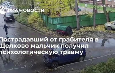 Пострадавший от грабителя в Щелково мальчик получил психологическую травму