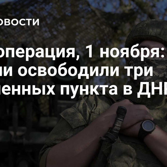 Спецоперация, 1 ноября: ВС России освободили три населенных пункта в ДНР