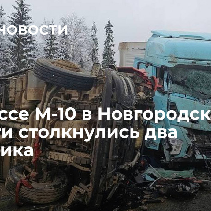 На трассе М-10 в Новгородской области столкнулись два грузовика