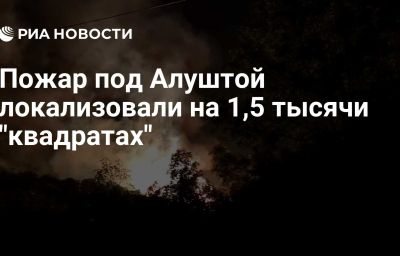 Пожар под Алуштой локализовали на 1,5 тысячи "квадратах"