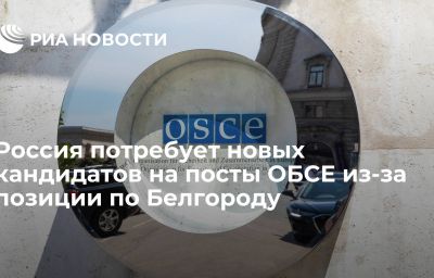 Россия потребует новых кандидатов на посты ОБСЕ из-за позиции по Белгороду