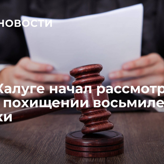 Суд в Калуге начал рассмотрение дело о похищении восьмилетней девочки