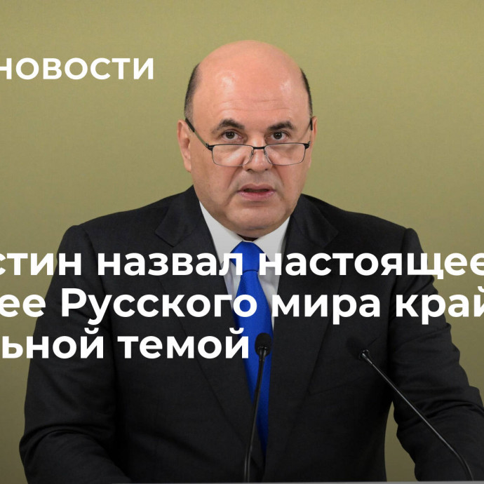 Мишустин назвал настоящее и будущее Русского мира крайне актуальной темой