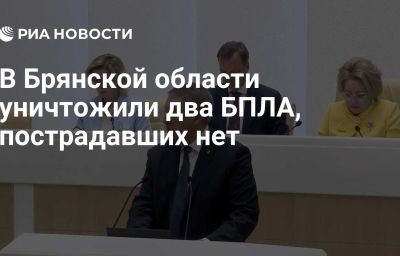 В Брянской области уничтожили два БПЛА, пострадавших нет