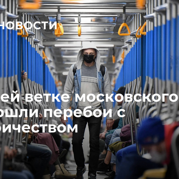 На синей ветке московского метро произошли перебои с электричеством