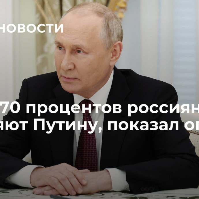 Более 70 процентов россиян доверяют Путину, показал опрос ФОМ