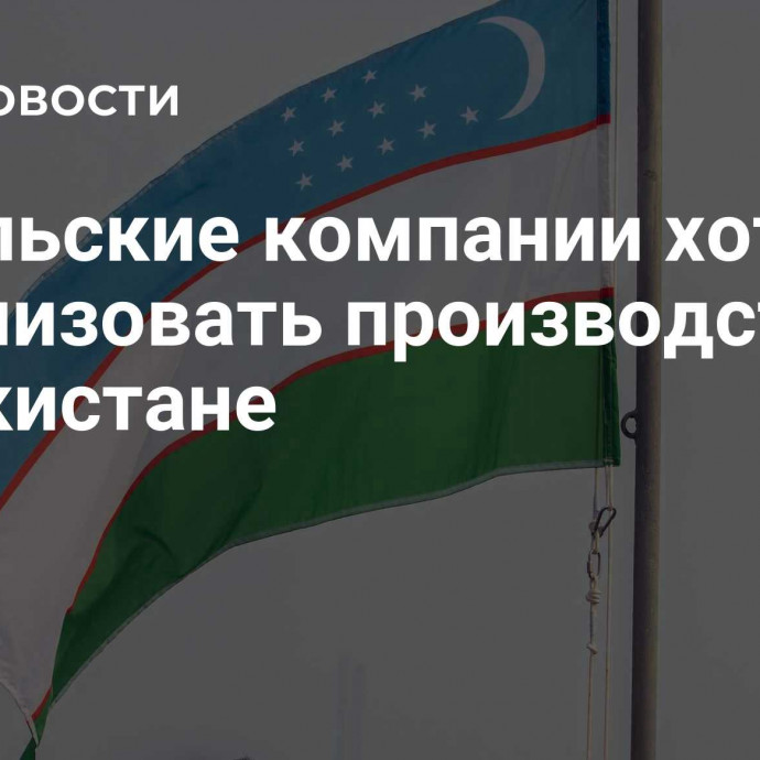 Карельские компании хотят локализовать производства в Узбекистане