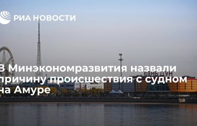 В Минэкономразвития назвали причину происшествия с судном на Амуре