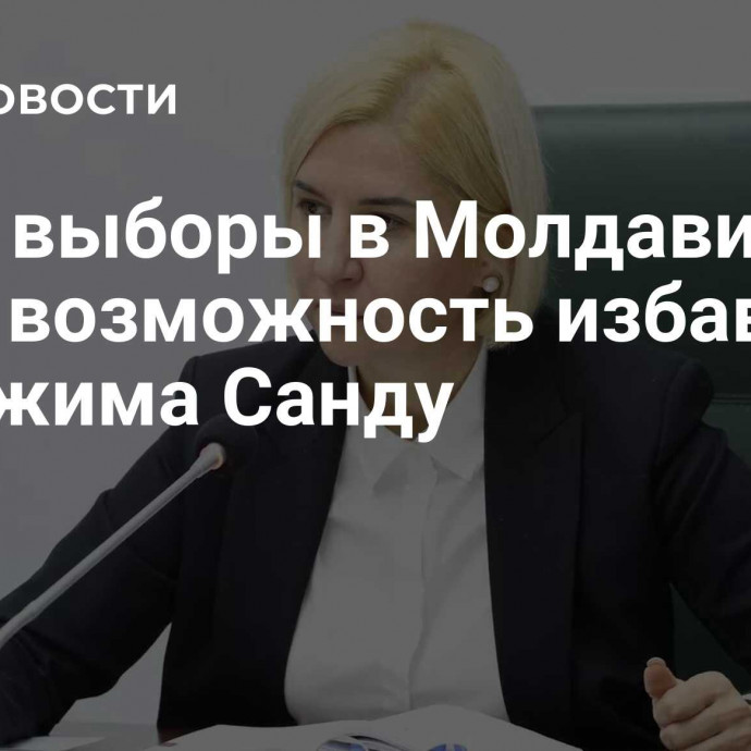 Влах: выборы в Молдавии дают возможность избавиться от режима Санду