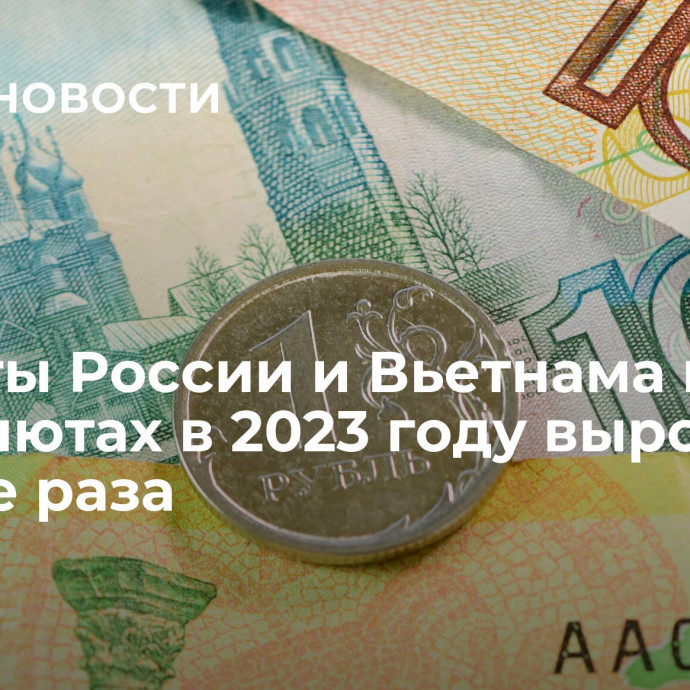 Расчеты России и Вьетнама в нацвалютах в 2023 году выросли в четыре раза