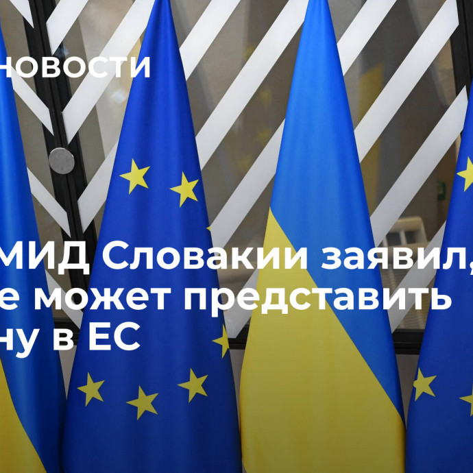 Глава МИД Словакии заявил, что пока не может представить Украину в ЕС