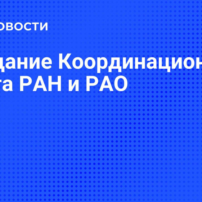 Заседание Координационного совета РАН и РАО