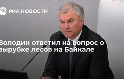 Володин ответил на вопрос о вырубке лесов на Байкале