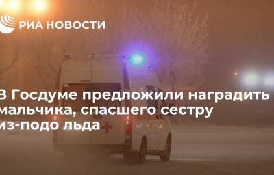 В Госдуме предложили наградить мальчика, спасшего сестру из-подо льда