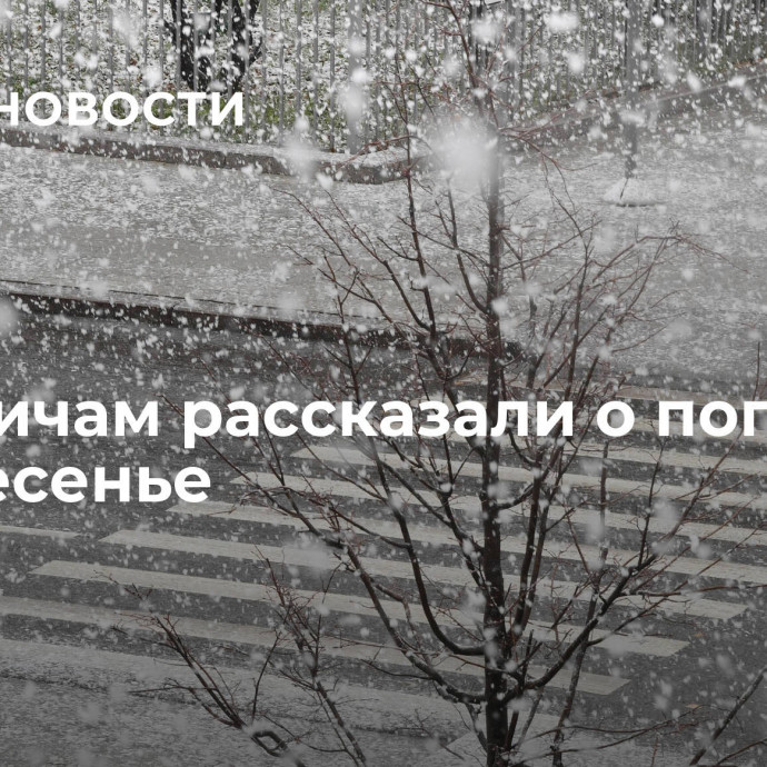 Москвичам рассказали о погоде в воскресенье