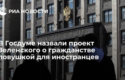 В Госдуме назвали проект Зеленского о гражданстве ловушкой для иностранцев