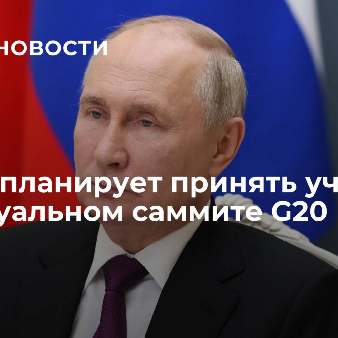 Путин планирует принять участие в виртуальном саммите G20