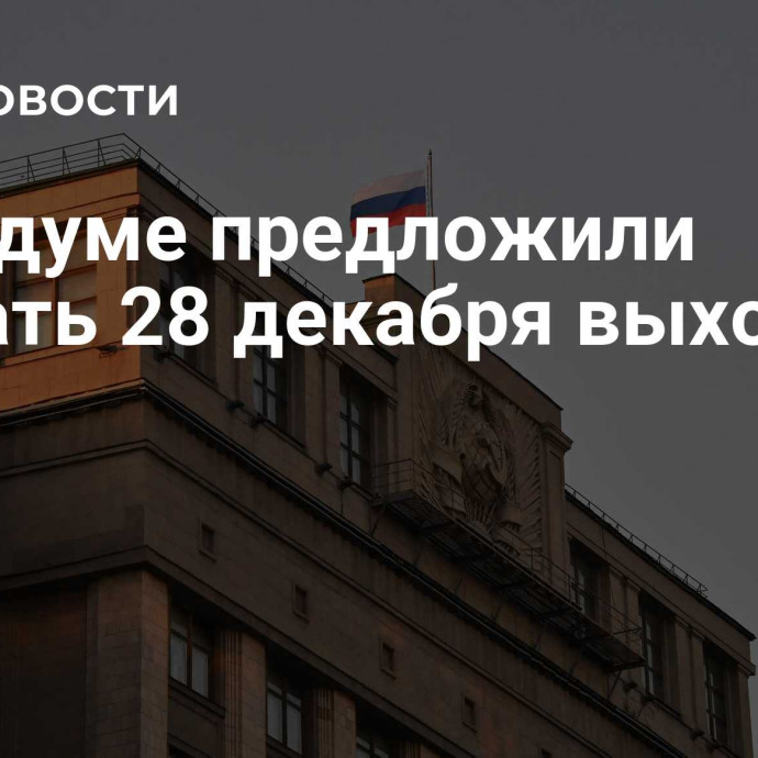 В Госдуме предложили сделать 28 декабря выходным днем