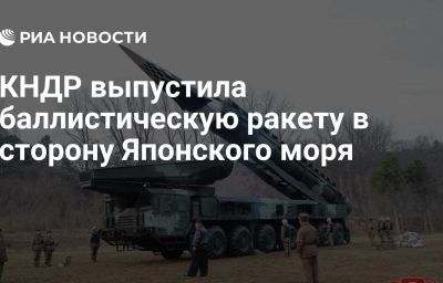 КНДР выпустила баллистическую ракету в сторону Японского моря