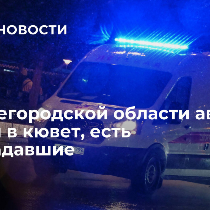 В Нижегородской области автобус съехал в кювет, есть пострадавшие