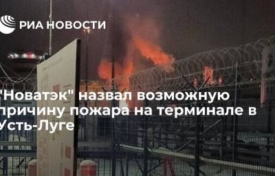 "Новатэк" назвал возможную причину пожара на терминале в Усть-Луге