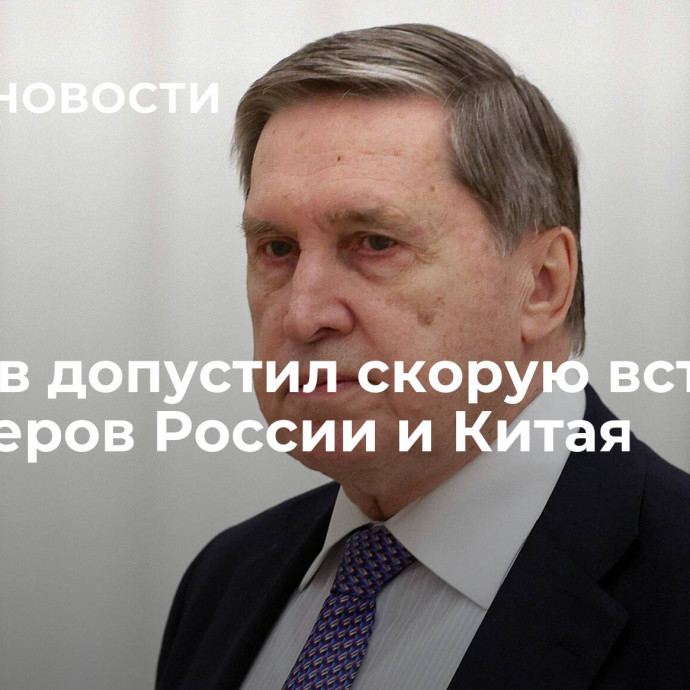 Ушаков допустил скорую встречу премьеров России и Китая