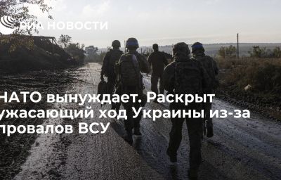 НАТО вынуждает. Раскрыт ужасающий ход Украины из-за провалов ВСУ